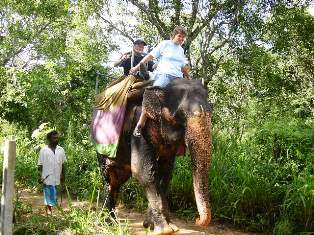 img/destinations/Elephant ride.JPG
